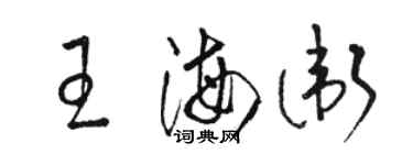 駱恆光王海衛草書個性簽名怎么寫