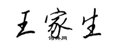 王正良王家生行書個性簽名怎么寫
