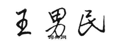 駱恆光王男民行書個性簽名怎么寫