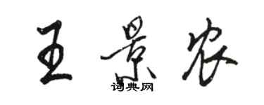 駱恆光王景農行書個性簽名怎么寫