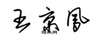 朱錫榮王京鳳草書個性簽名怎么寫