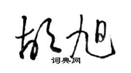 駱恆光胡旭草書個性簽名怎么寫