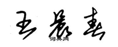 朱錫榮王晨春草書個性簽名怎么寫