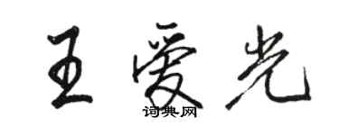 駱恆光王愛光行書個性簽名怎么寫