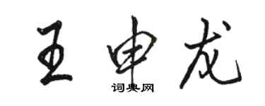 駱恆光王申龍行書個性簽名怎么寫