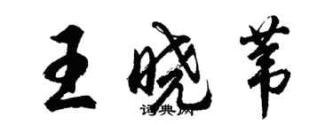 胡問遂王曉葦行書個性簽名怎么寫