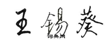 駱恆光王錫葵行書個性簽名怎么寫