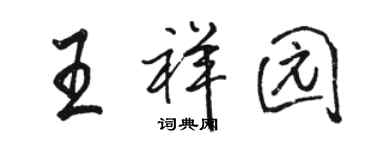 駱恆光王祥園行書個性簽名怎么寫