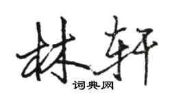 駱恆光林軒行書個性簽名怎么寫