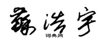 朱錫榮蘇浩宇草書個性簽名怎么寫