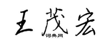 王正良王茂宏行書個性簽名怎么寫