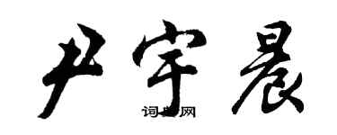 胡問遂尹宇晨行書個性簽名怎么寫