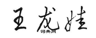 駱恆光王龍娃行書個性簽名怎么寫