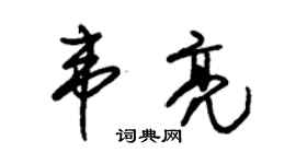 朱錫榮韋亮草書個性簽名怎么寫