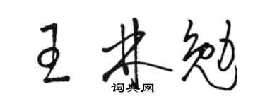 駱恆光王林勉草書個性簽名怎么寫