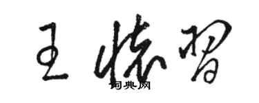 駱恆光王懷習草書個性簽名怎么寫