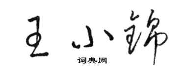 駱恆光王小錦草書個性簽名怎么寫