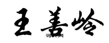 胡問遂王善嶺行書個性簽名怎么寫