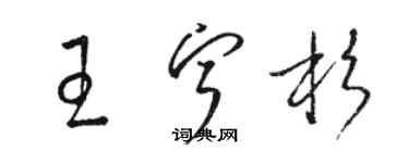 駱恆光王寧杉草書個性簽名怎么寫