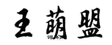 胡問遂王萌盟行書個性簽名怎么寫