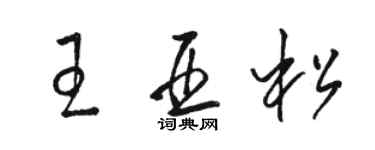 駱恆光王亞松草書個性簽名怎么寫