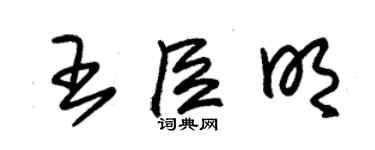 朱錫榮王臣明草書個性簽名怎么寫