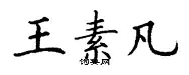 丁謙王素凡楷書個性簽名怎么寫