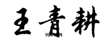 胡問遂王青耕行書個性簽名怎么寫