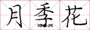 龐中華月季花楷書怎么寫