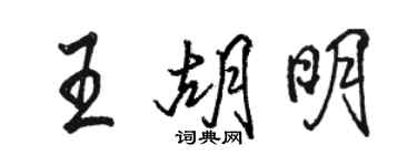 駱恆光王胡明行書個性簽名怎么寫