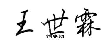 王正良王世霖行書個性簽名怎么寫