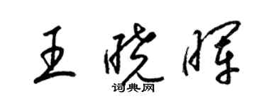 梁錦英王曉暉草書個性簽名怎么寫