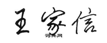 駱恆光王家信行書個性簽名怎么寫