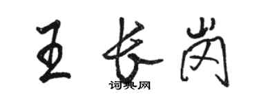 駱恆光王長崗行書個性簽名怎么寫