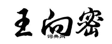 胡問遂王向密行書個性簽名怎么寫
