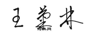 駱恆光王菊林草書個性簽名怎么寫