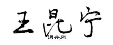 曾慶福王昆寧行書個性簽名怎么寫