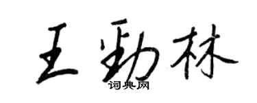 王正良王勁林行書個性簽名怎么寫