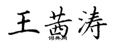 丁謙王茜濤楷書個性簽名怎么寫