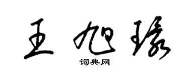 梁錦英王旭環草書個性簽名怎么寫