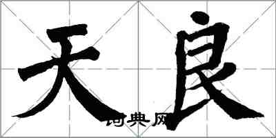 翁闓運天良楷書怎么寫