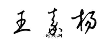 梁錦英王嘉楊草書個性簽名怎么寫