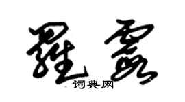 朱錫榮羅霞草書個性簽名怎么寫