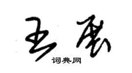 朱錫榮王展草書個性簽名怎么寫