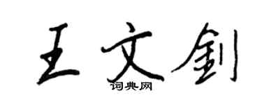 王正良王文劍行書個性簽名怎么寫