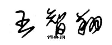 朱錫榮王智翔草書個性簽名怎么寫