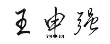 駱恆光王申強行書個性簽名怎么寫