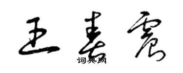 曾慶福王春震草書個性簽名怎么寫