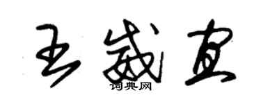 朱錫榮王威宜草書個性簽名怎么寫