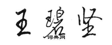 駱恆光王碧堅行書個性簽名怎么寫